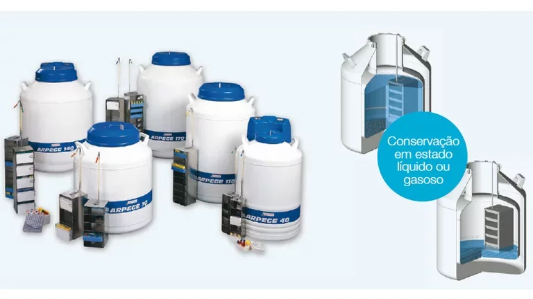 Armazenamento Linha Arpege