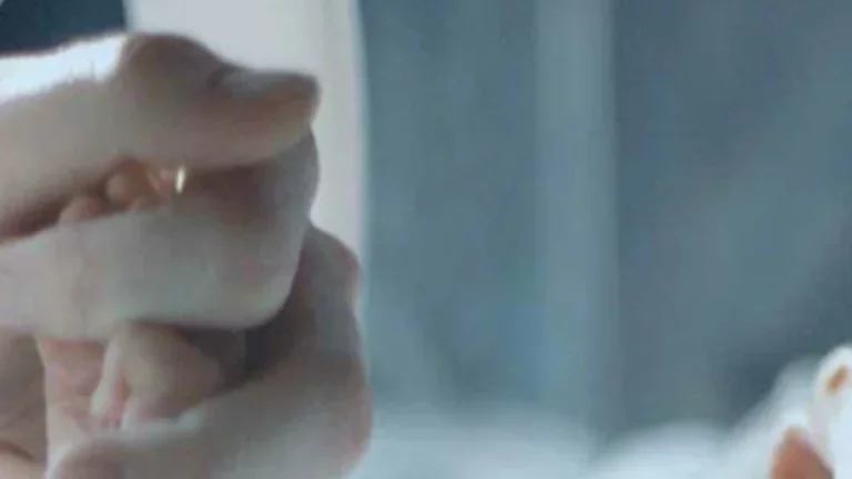 Os benefícios de utilizar o óxido nítrico