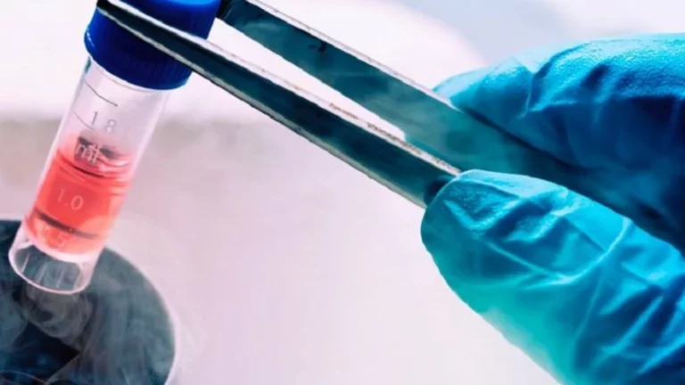 O que é criobiologia?