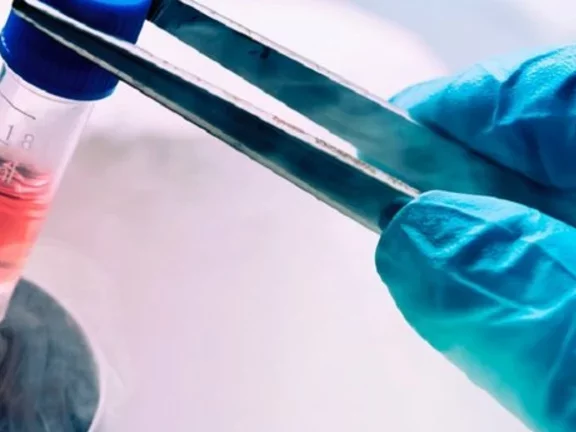 O que é criobiologia?