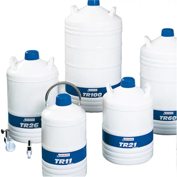 Transporte de Nitrogênio