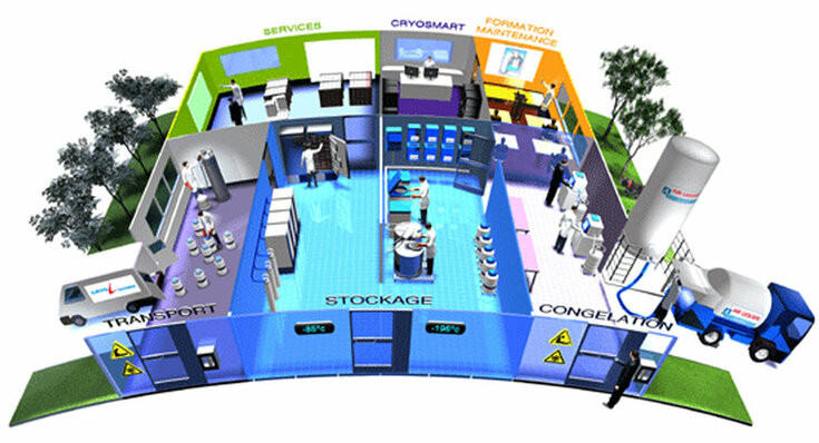 Criopreservação - Processo e Aplicações